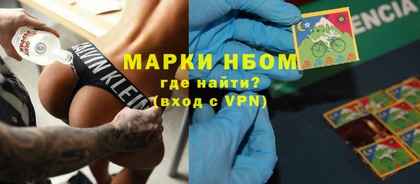гашик Осташков