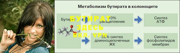 шишки Осинники
