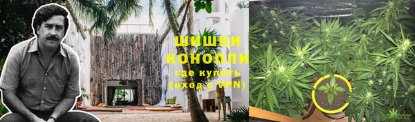 шишки Осинники