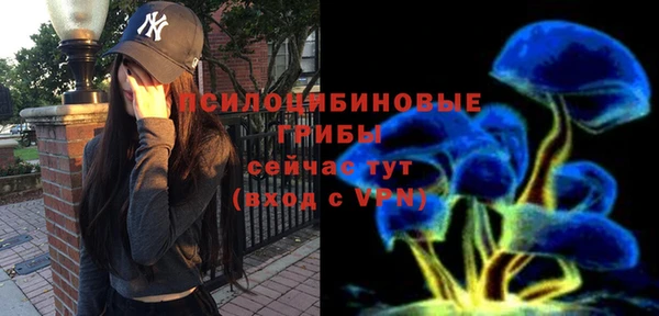 гашик Осташков