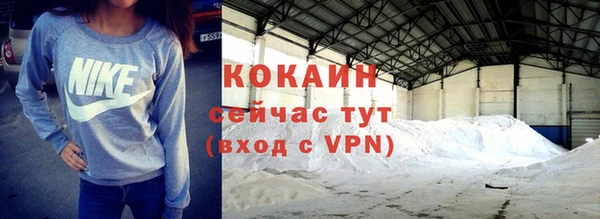 шишки Осинники