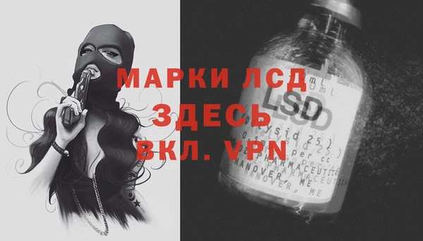 гашик Осташков