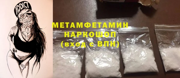 шишки Осинники