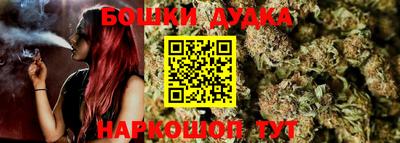 шишки Балашиха