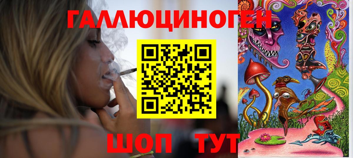 Псилоцибиновые грибы Cubensis  Гурьевск  Галлюциногенные грибы ЛСД 