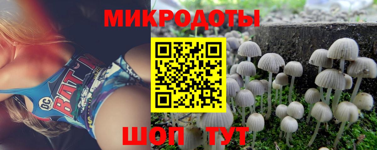 Псилоцибиновые грибы ЛСД  Вход с VPN  где купить наркотик  Галлюциногенные грибы ЛСД  Гурьевск 